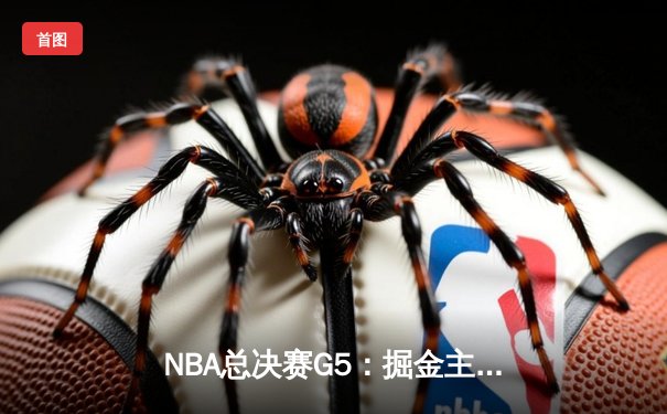 NBA总决赛G5：掘金主场力克热火，约基奇三双率队夺得赛点