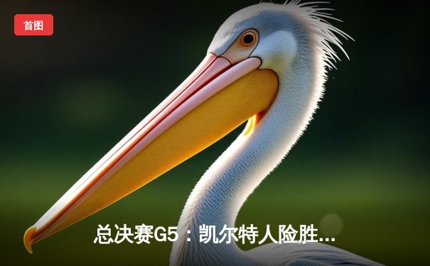 总决赛G5：凯尔特人险胜独行侠，塔图姆31+8+6率队夺赛点